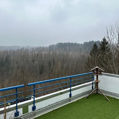 Harz #4, Pool, Sauna, Wlan * Braunlage