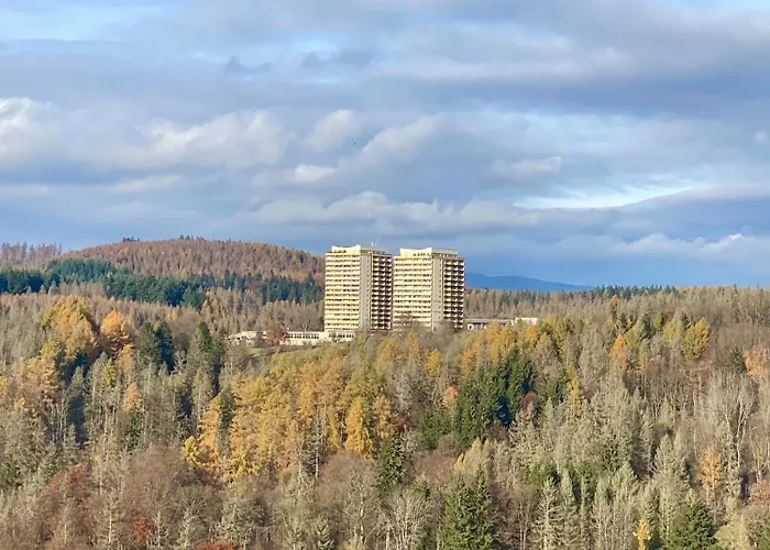 Harz #4, Pool, Sauna, Wlan Daire Braunlage